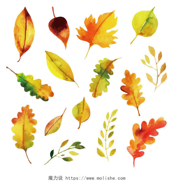 九月你好树叶剪影秋天水彩树叶矢量叶子大合集免抠图